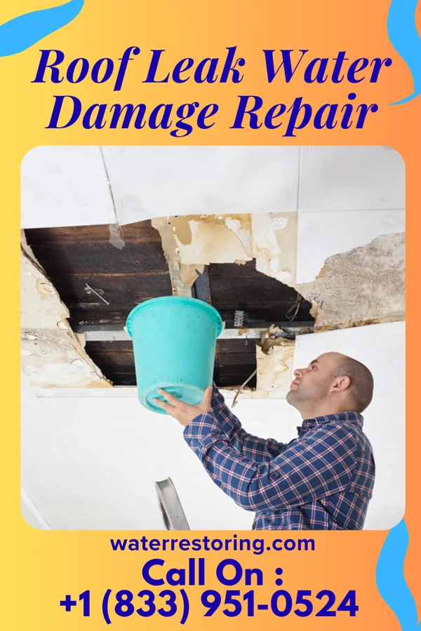 Roof Leak Water Damage Repair in Harrison, IL