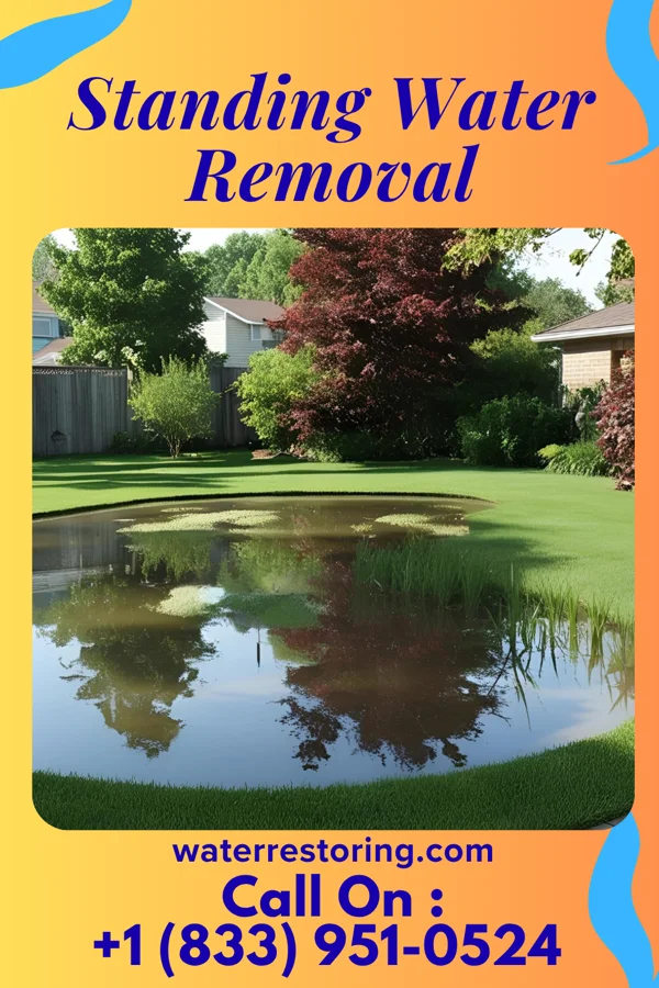 Standing Water Removal in Harrison, IL